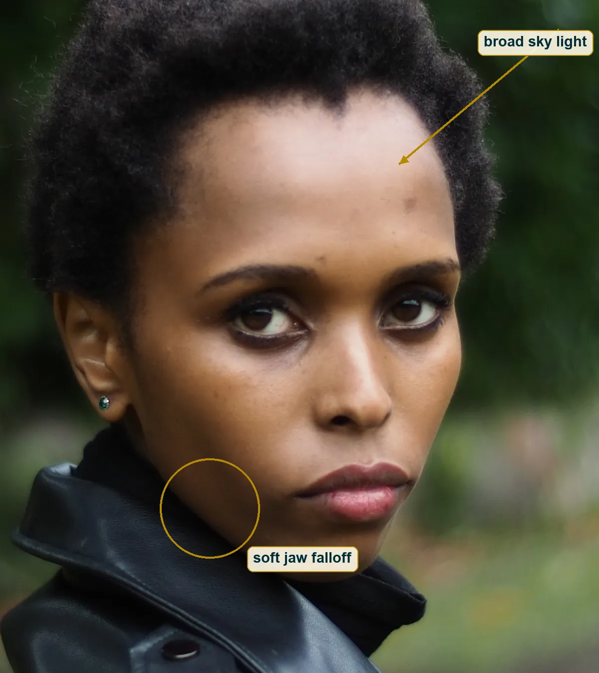 Face crop with an arrow for soft light from above and a circle on the soft shadow under the jaw