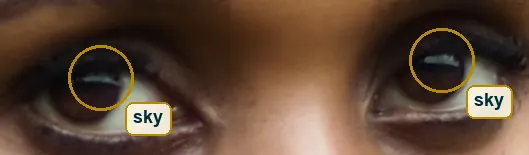 Tight crop of both eyes with circles on the thin curved catchlights at the top of each iris