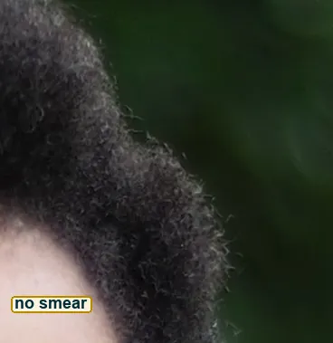 Pixel-level crop of the hair edge against the green, single coils stay separate with no smear