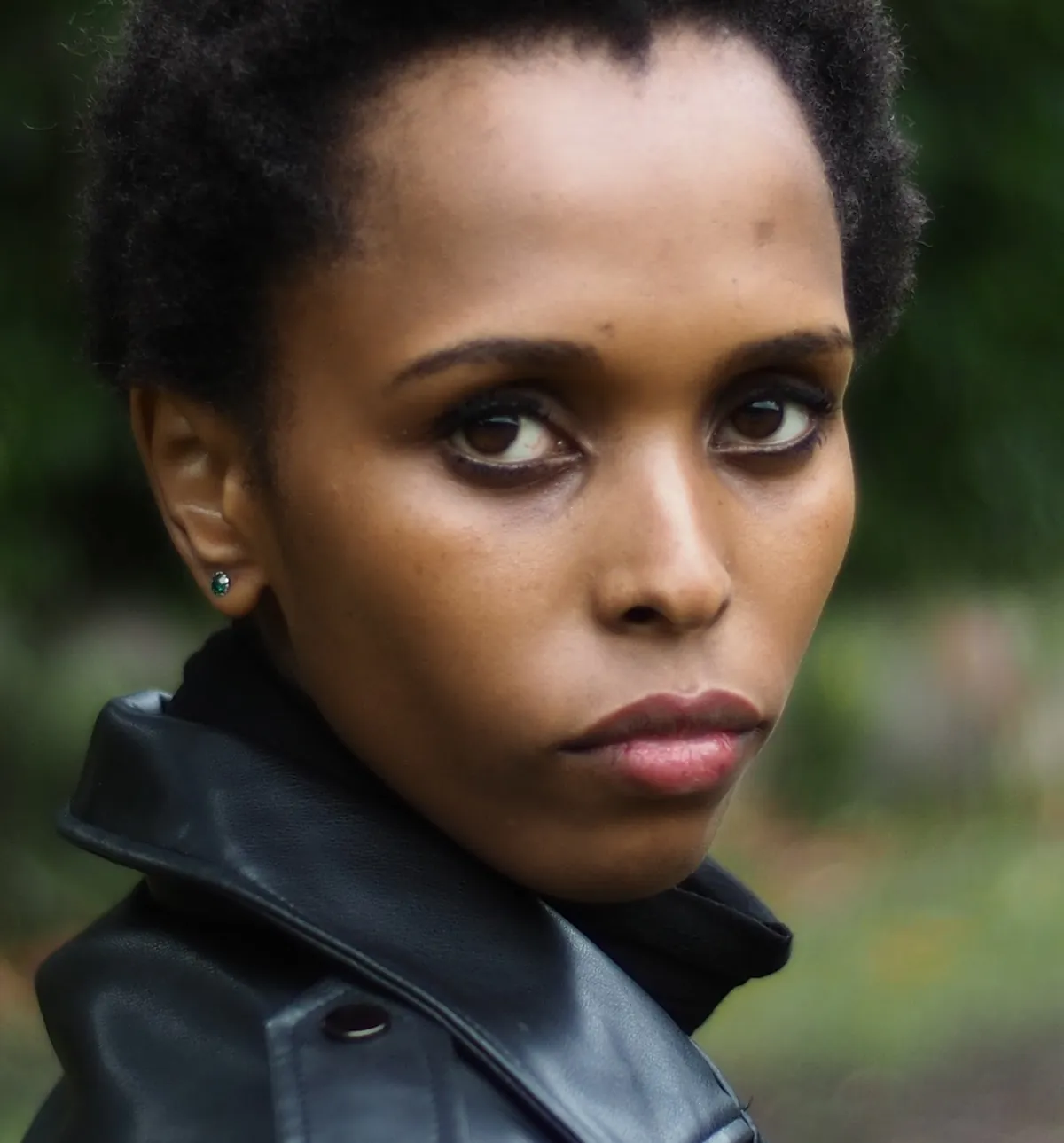 Crop of the face and the leather collar without marks