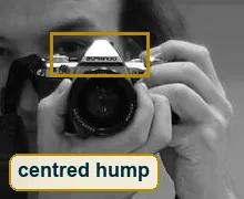 Full-size crop of the camera with the centred hump boxed