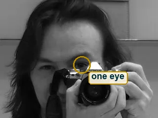 Crop of the head and camera with the one visible eye circled