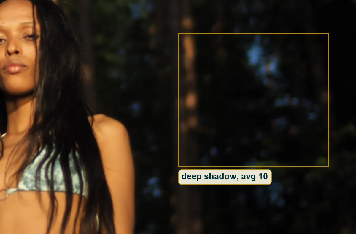 Crop of the shaded woods beside the subject, with deep shadows boxed and labeled