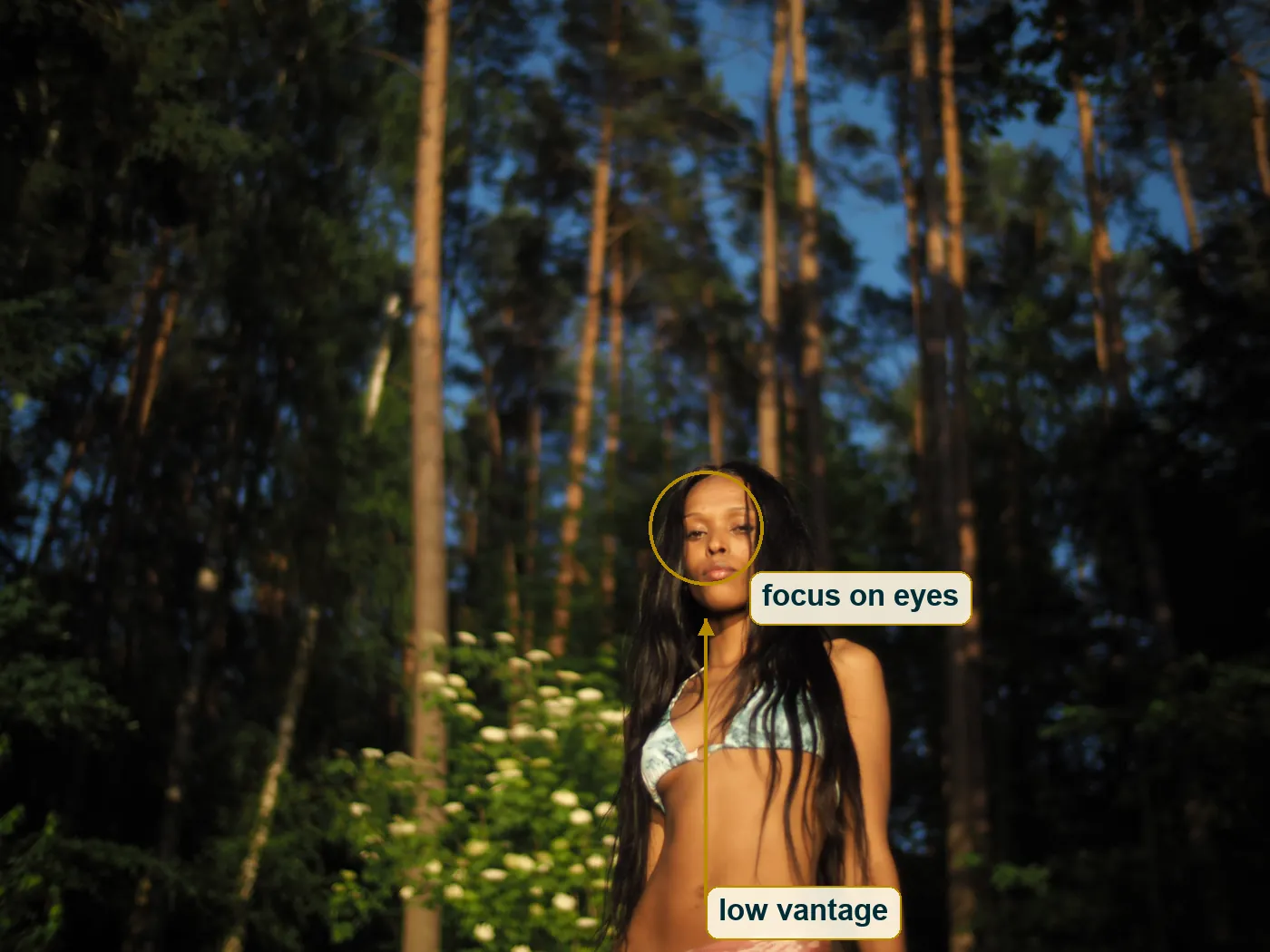 Full photo with a circle on the focus point at the eyes and an arrow indicating low vantage point