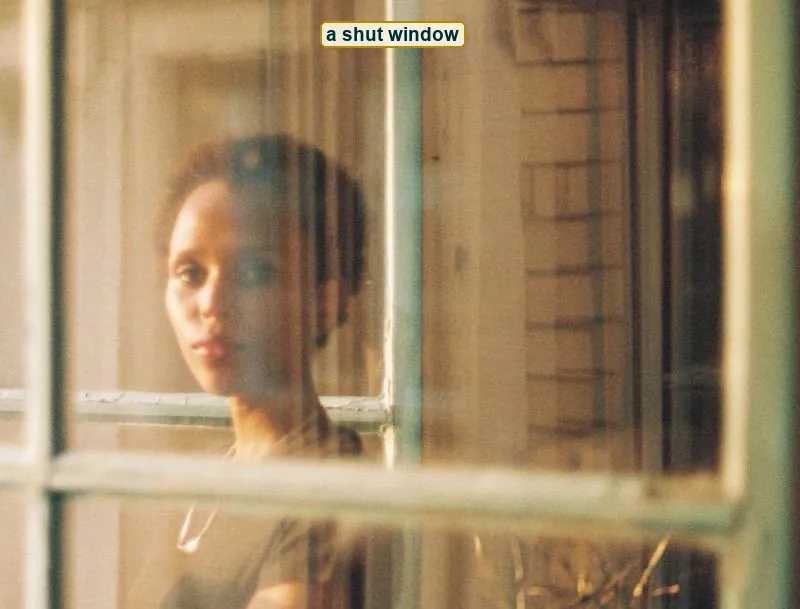 The woman framed by the closed window, cropped to her pane
