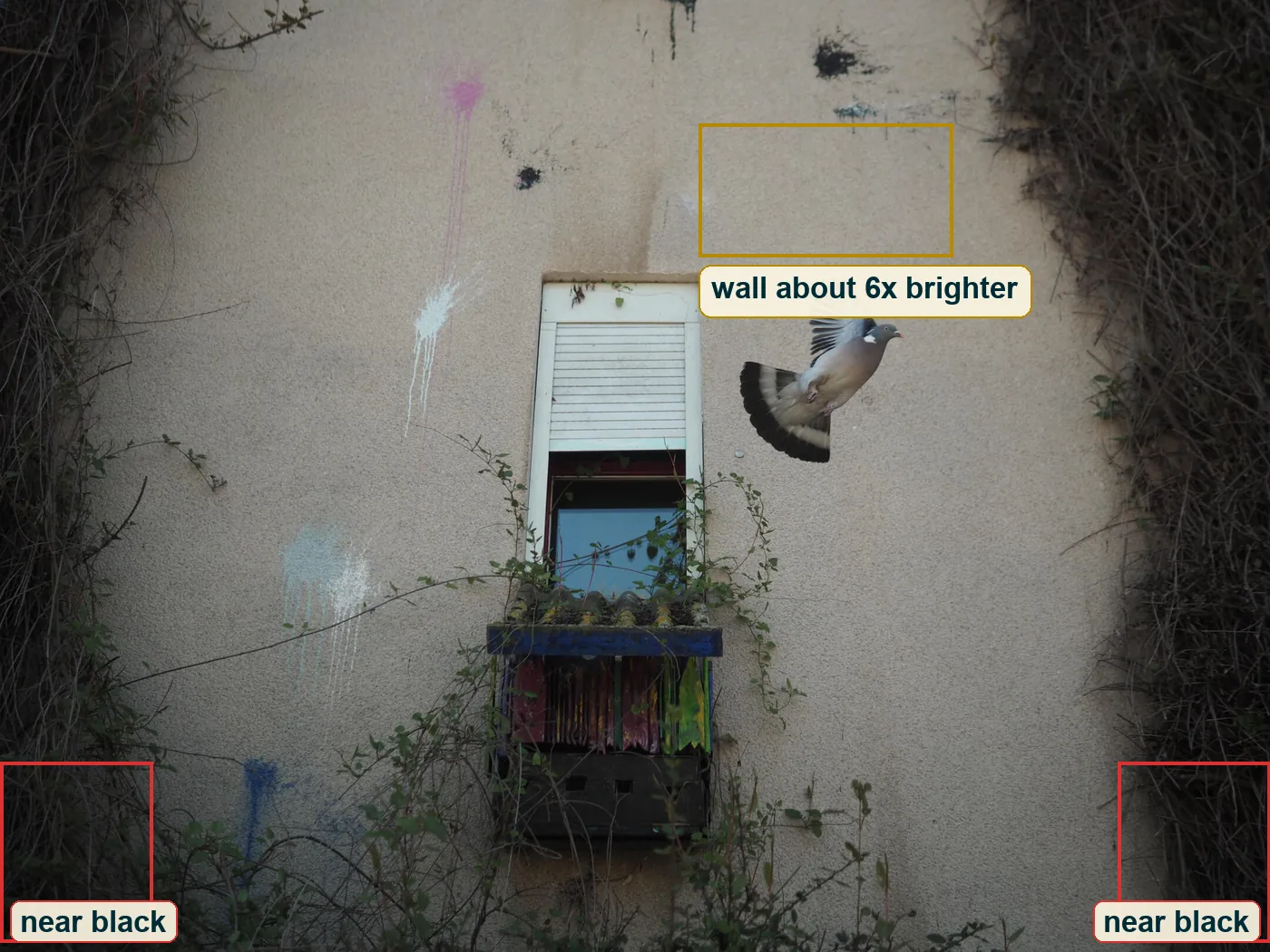 Full frame with the near black corners marked in red and the bright centre of the wall marked in gold